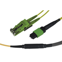 Note: pay attention to the colors specified in the item description