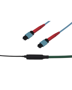 tML® 24 - FO Trunk Cable 2x 24F MPO w. Pins/2x 24F MPO w. Pins 48G50/125µ OM3 LSHF Type A, Length: xx in m