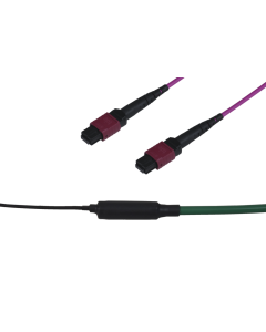 tSML - FO Trunk Cable 1x MPO Female/1x MPO Female 12G50/125µ OM4 LSHF, Type C, Length xxx in m