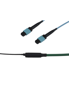 tSML - FO Trunk Cable 2x MPO Female/2x MPO Female 24G50/125µ OM3 LSHF, Type C, Length xxx in m
