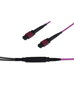 tSML - FO Micro Distribution Trunk Cable both sides 4x MPO Female 48G50/125µ OM4 LSHF, Type C, Length xxx in m