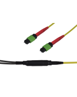 Note: pay attention to the colors specified in the item description