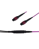 Note: pay attention to the colors specified in the item description