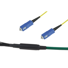 Note: pay attention to the colors specified in the item description