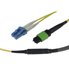 Note: pay attention to the colors specified in the item description