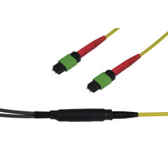 Note: pay attention to the colors specified in the item description