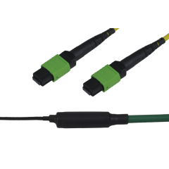 Note: pay attention to the colors specified in the item description