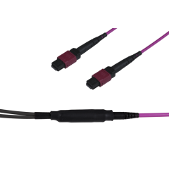 Note: pay attention to the colors specified in the item description