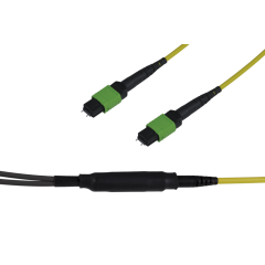 Note: pay attention to the colors specified in the item description