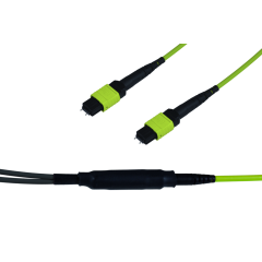 Note: pay attention to the colors specified in the item description