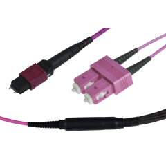 Note: pay attention to the colors specified in the item description