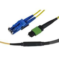 Note: pay attention to the colors specified in the item description